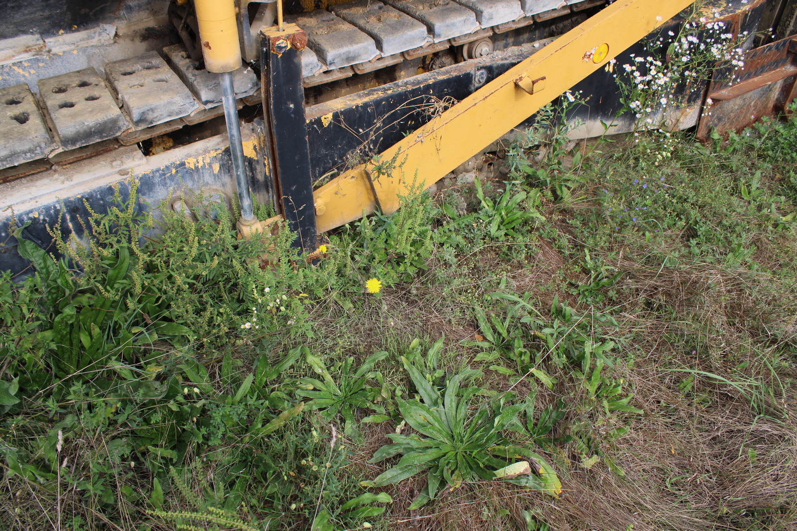 Dynapac F141C finisher 24