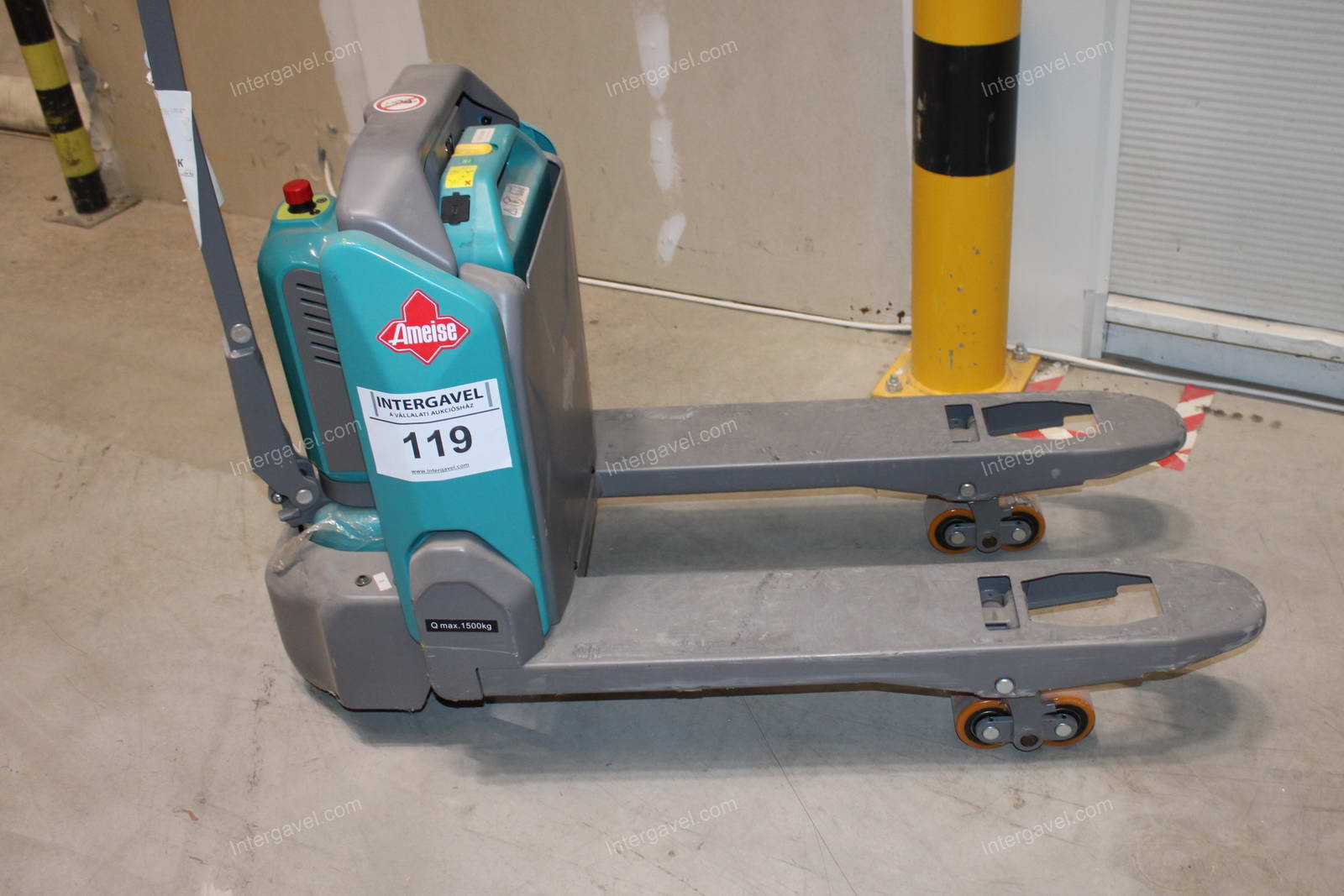 Elektromos gyalogkíséretű béka 4