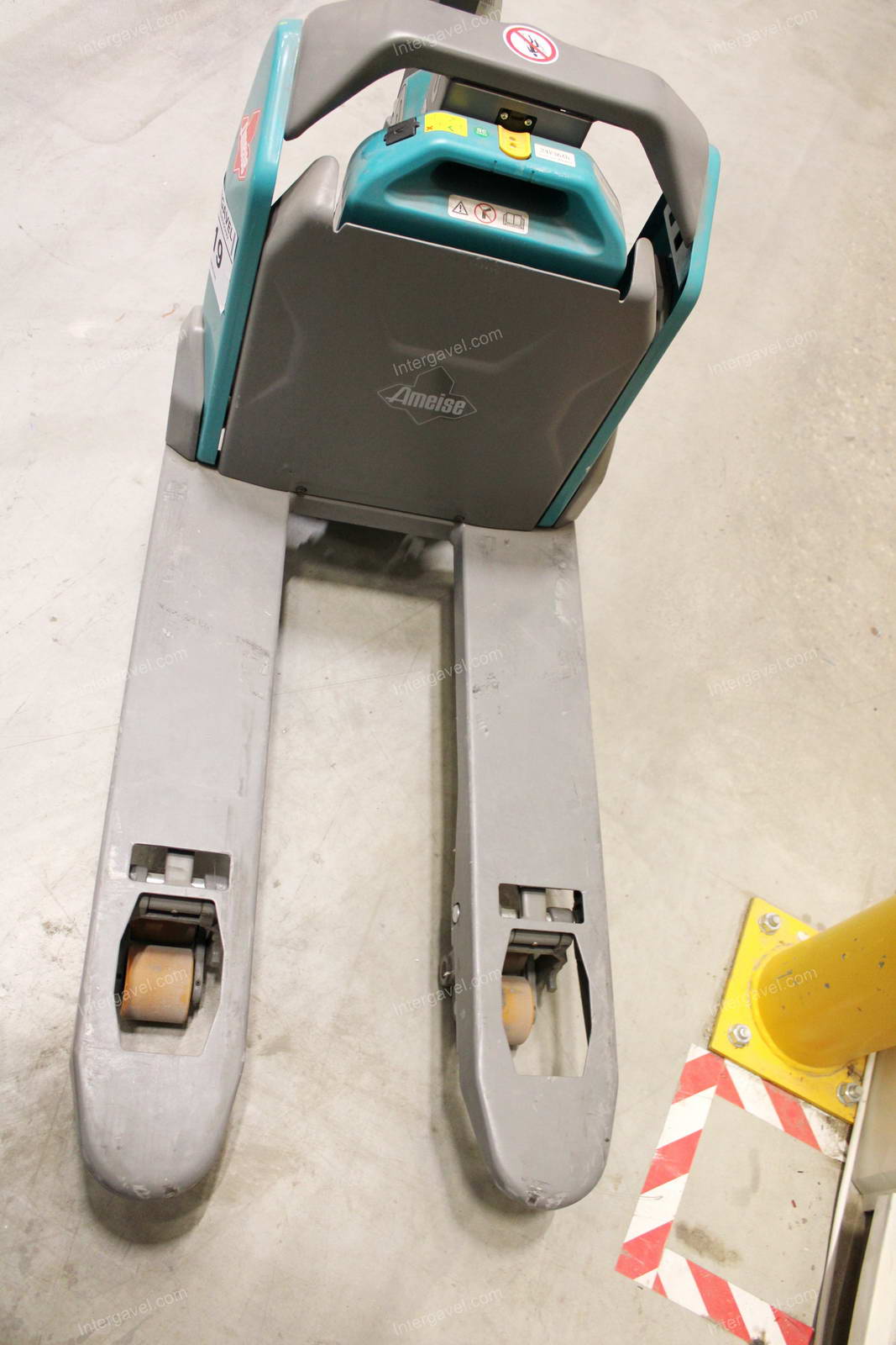 Elektromos gyalogkíséretű béka 5