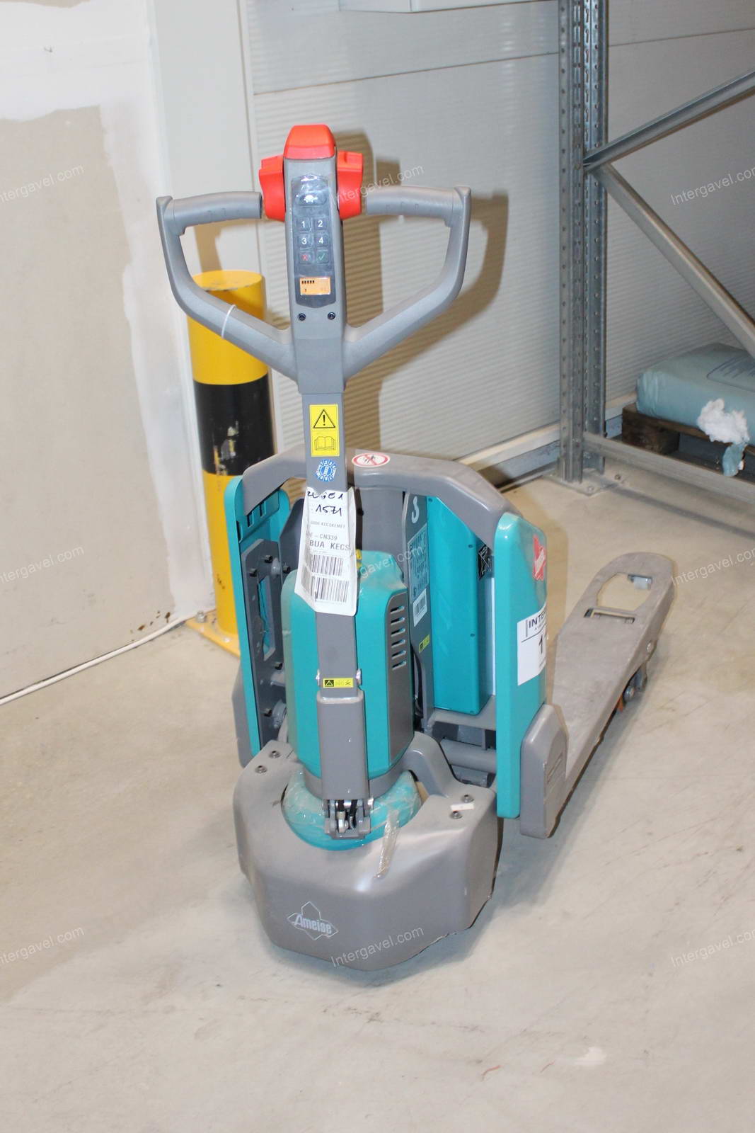 Elektromos gyalogkíséretű béka 8