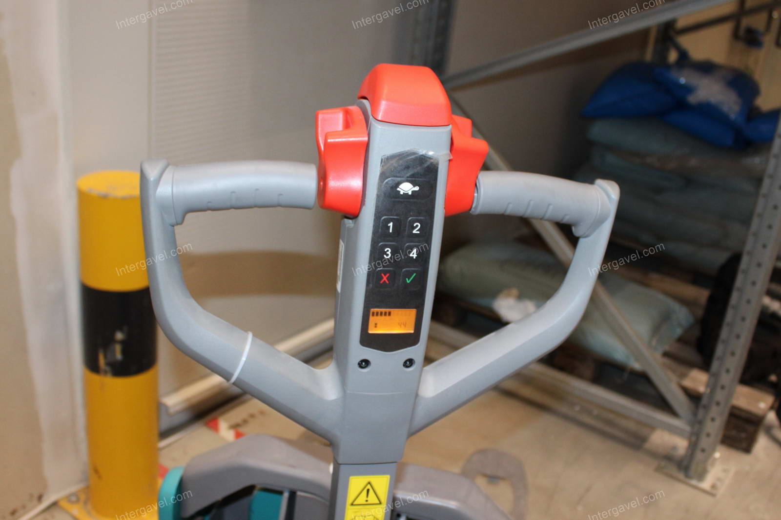 Elektromos gyalogkíséretű béka 9