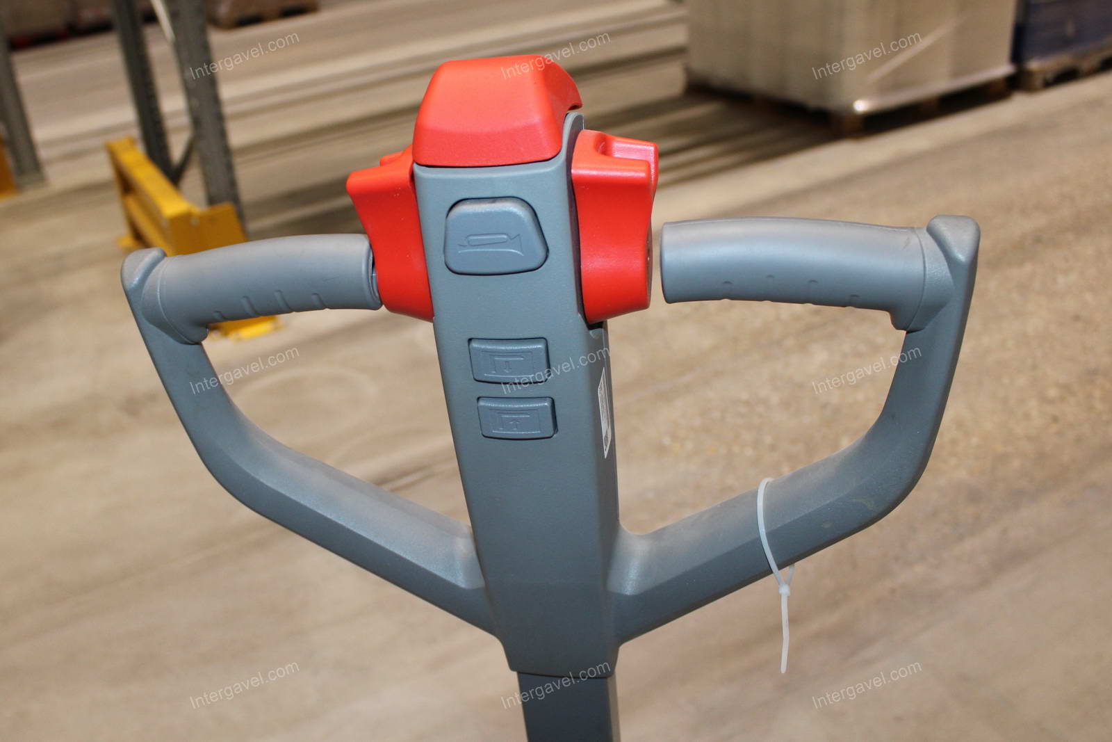 Elektromos gyalogkíséretű béka 10