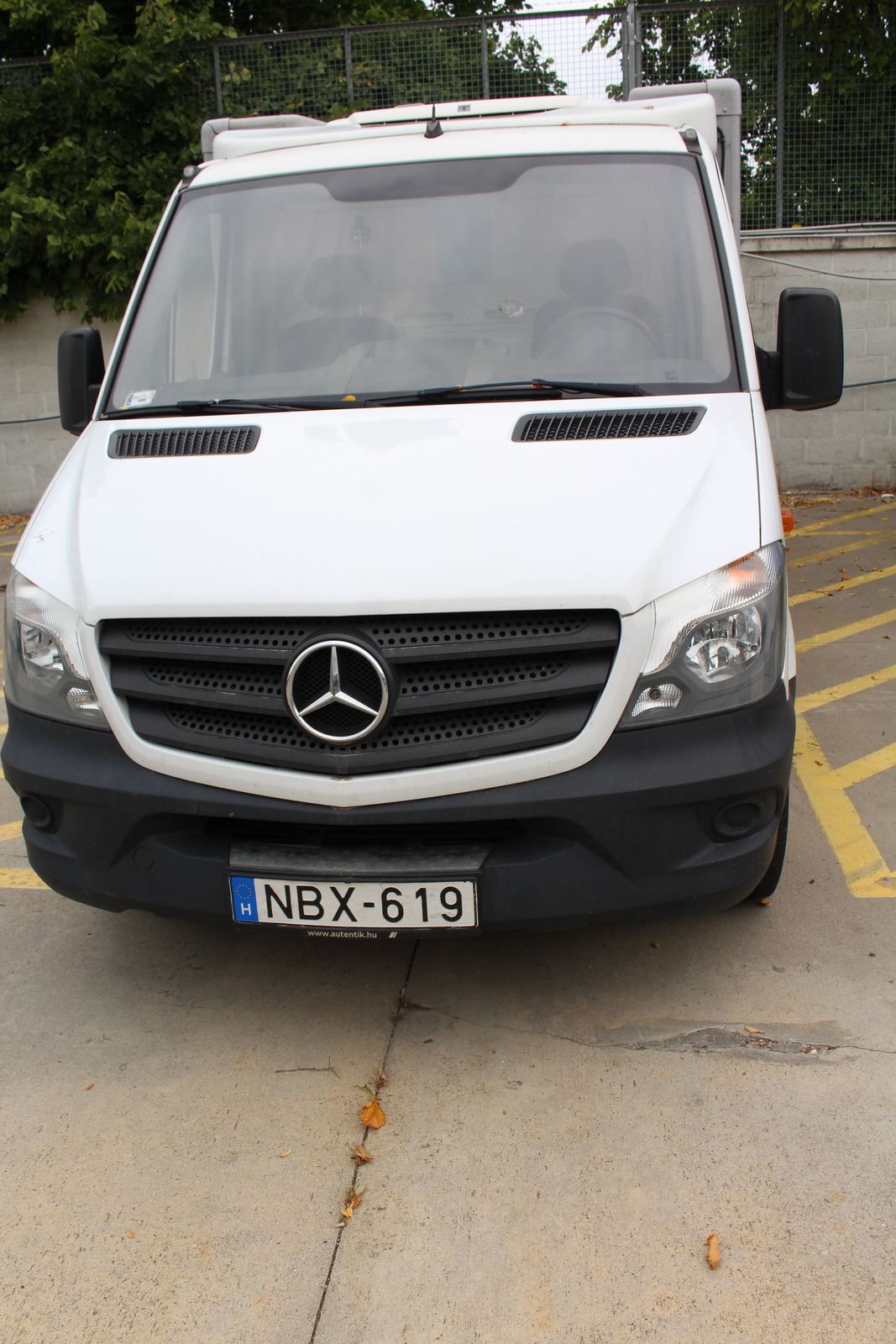 Hűtős kisteherautó 4