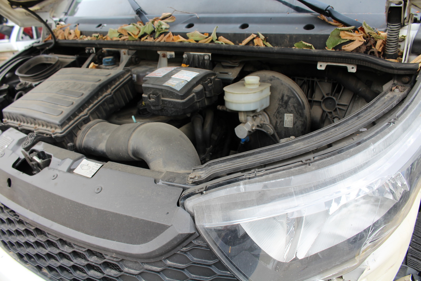 Hűtős kisteherautó 19