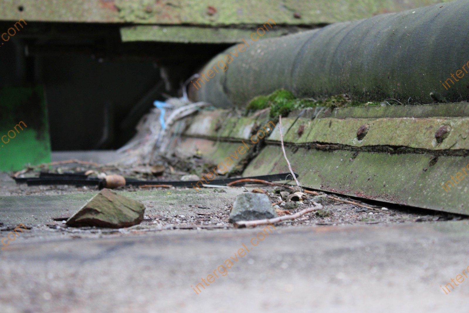 Alkatrész - Mustang Komptech dobrosta 21