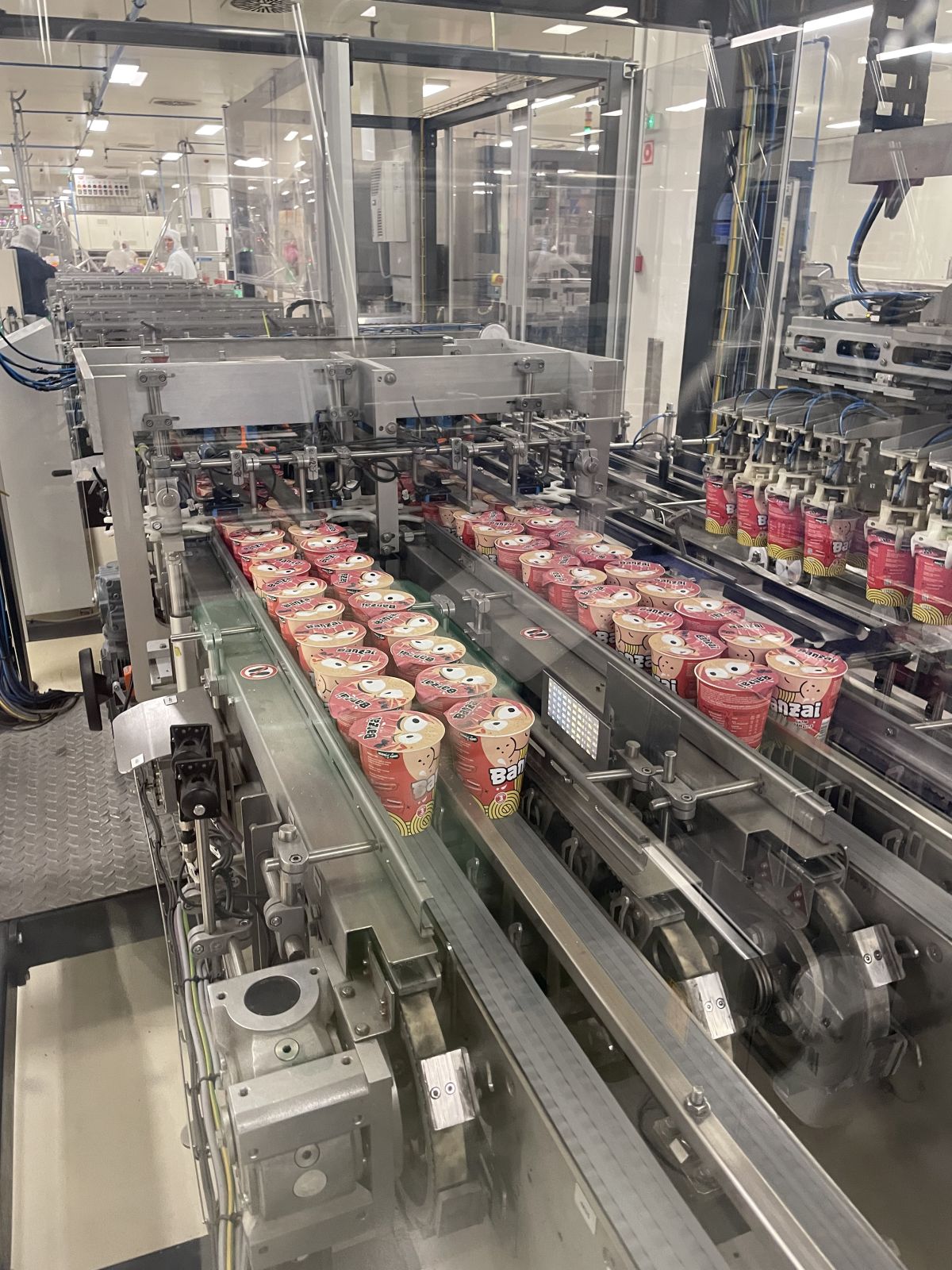 Csomagoló gépsor 17