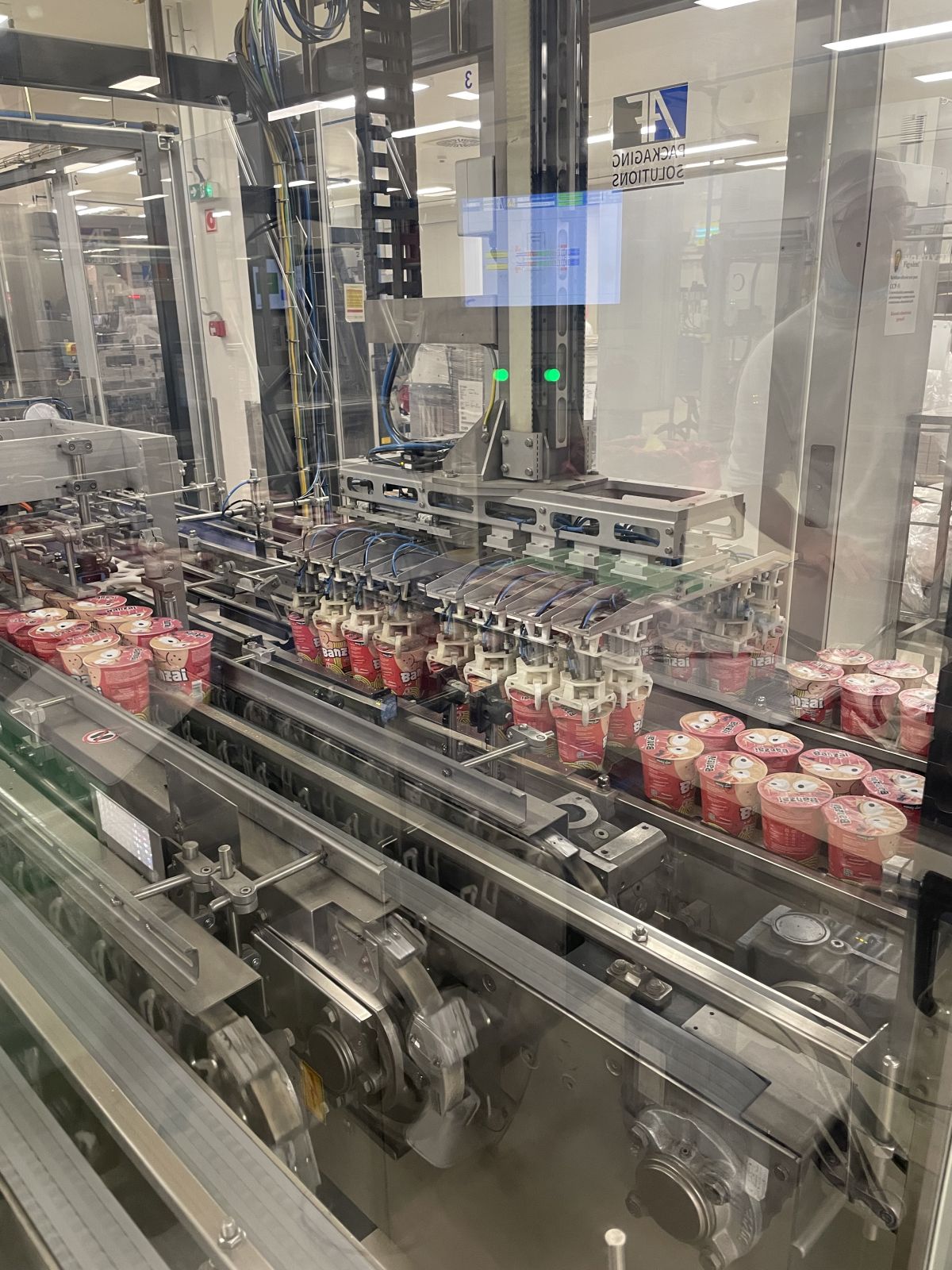 Csomagoló gépsor 18