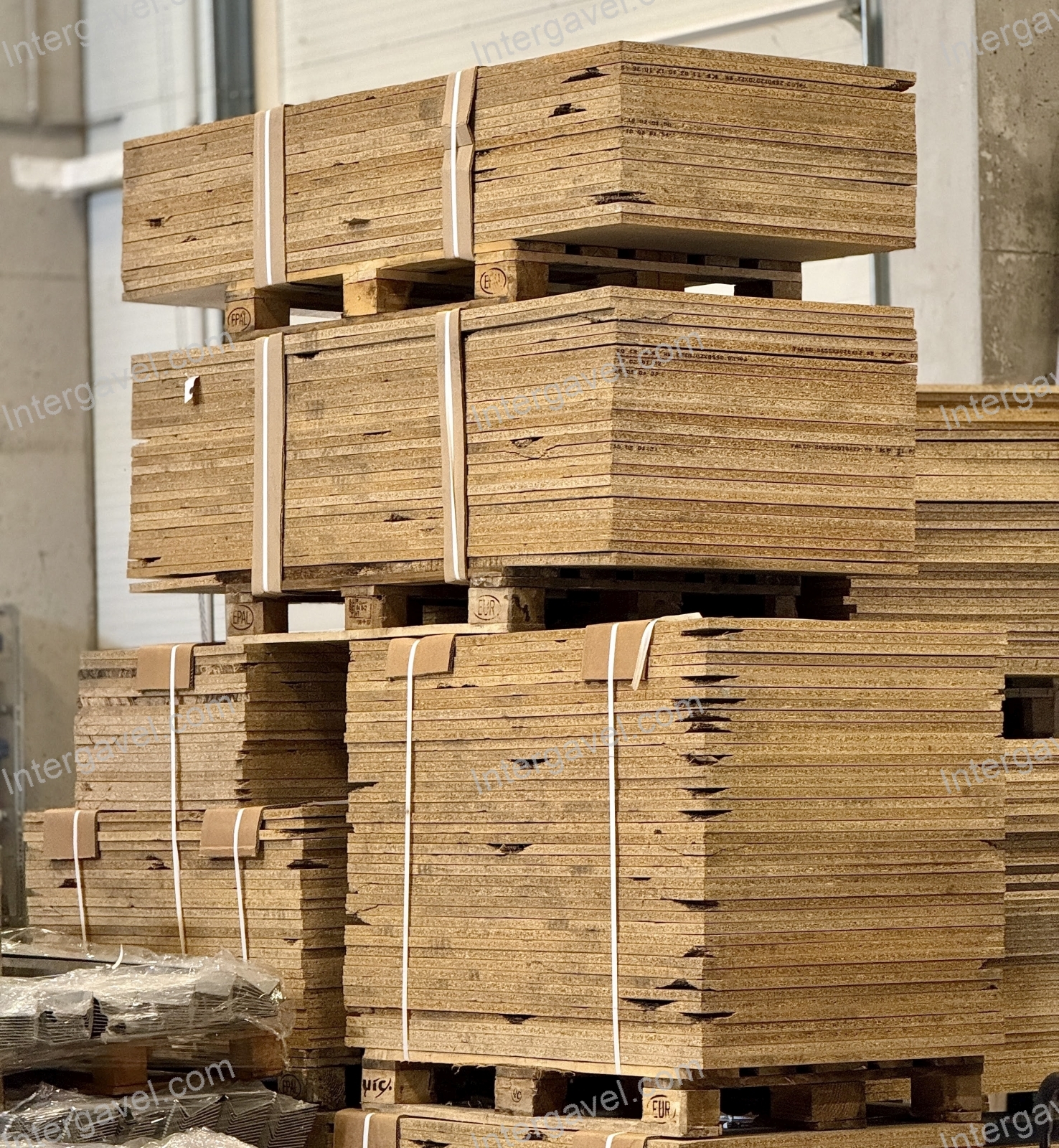 Pozdorja lapok (800) 2