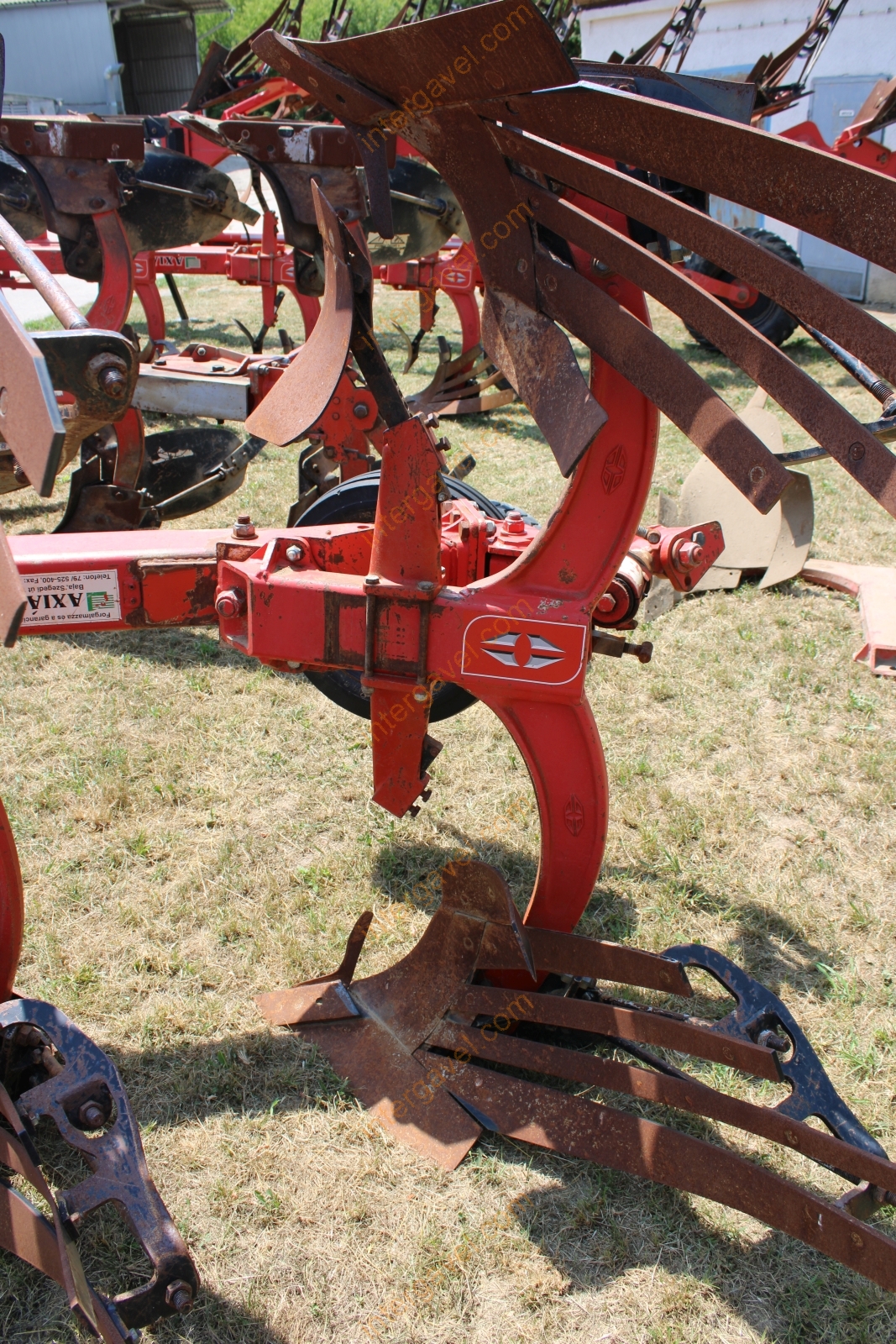 Eke - Gregoire Besson 11