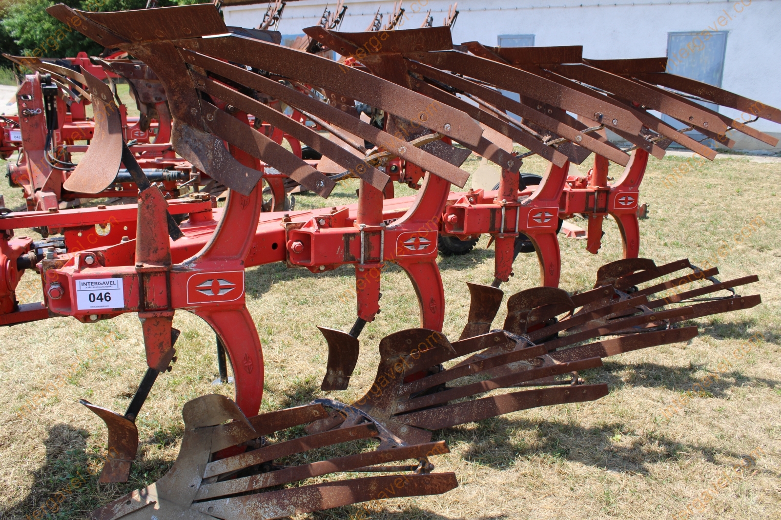 Eke - Gregoire Besson 13