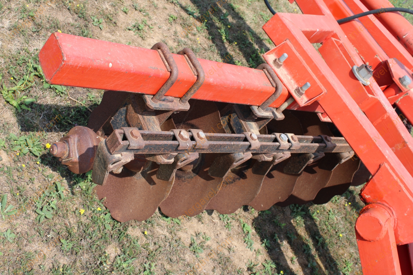 Tárcsás borona - Sasform 19