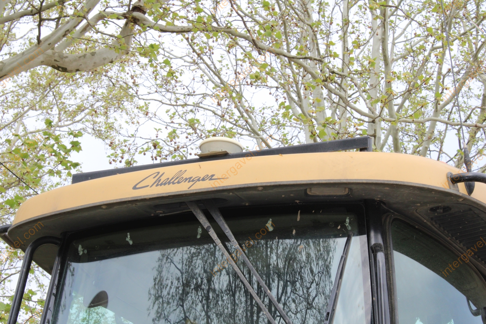 Traktor - Challenger  50