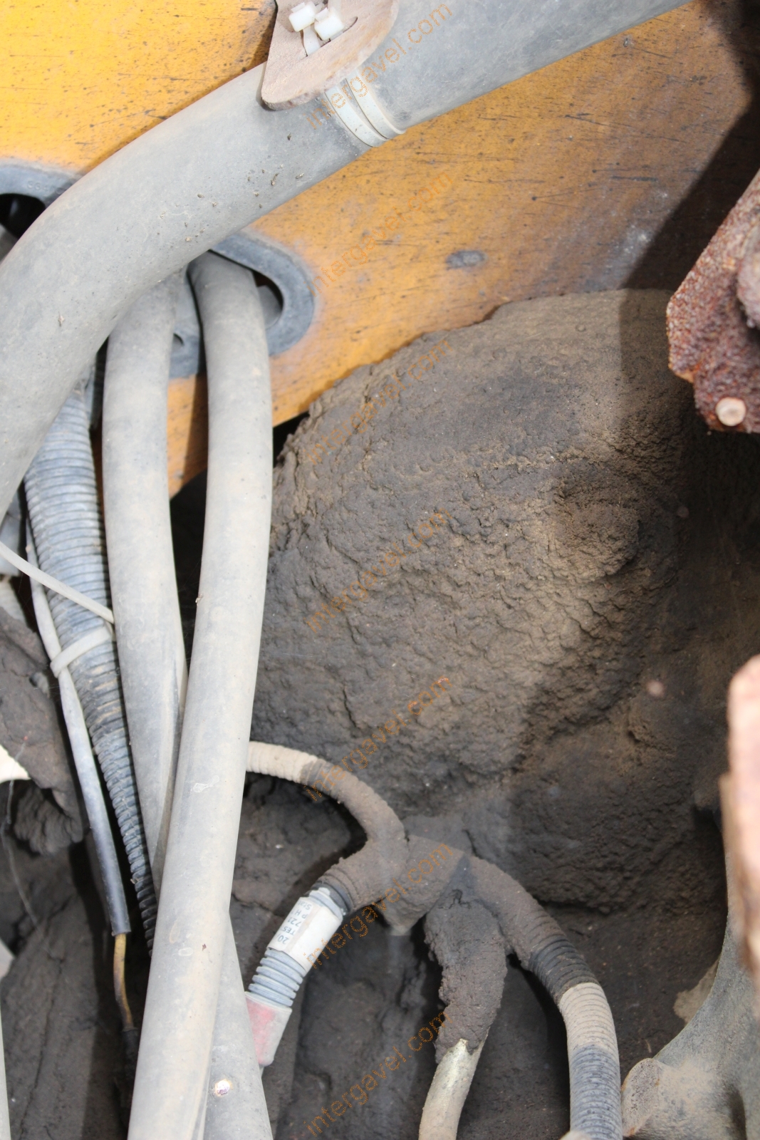 Teleszkópos rakodó - JCB 19