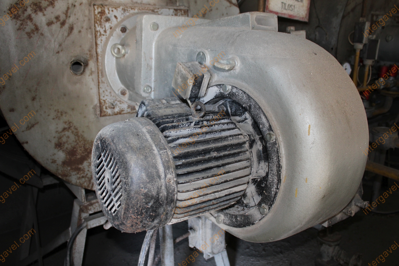 Szárító - Bábolna 10