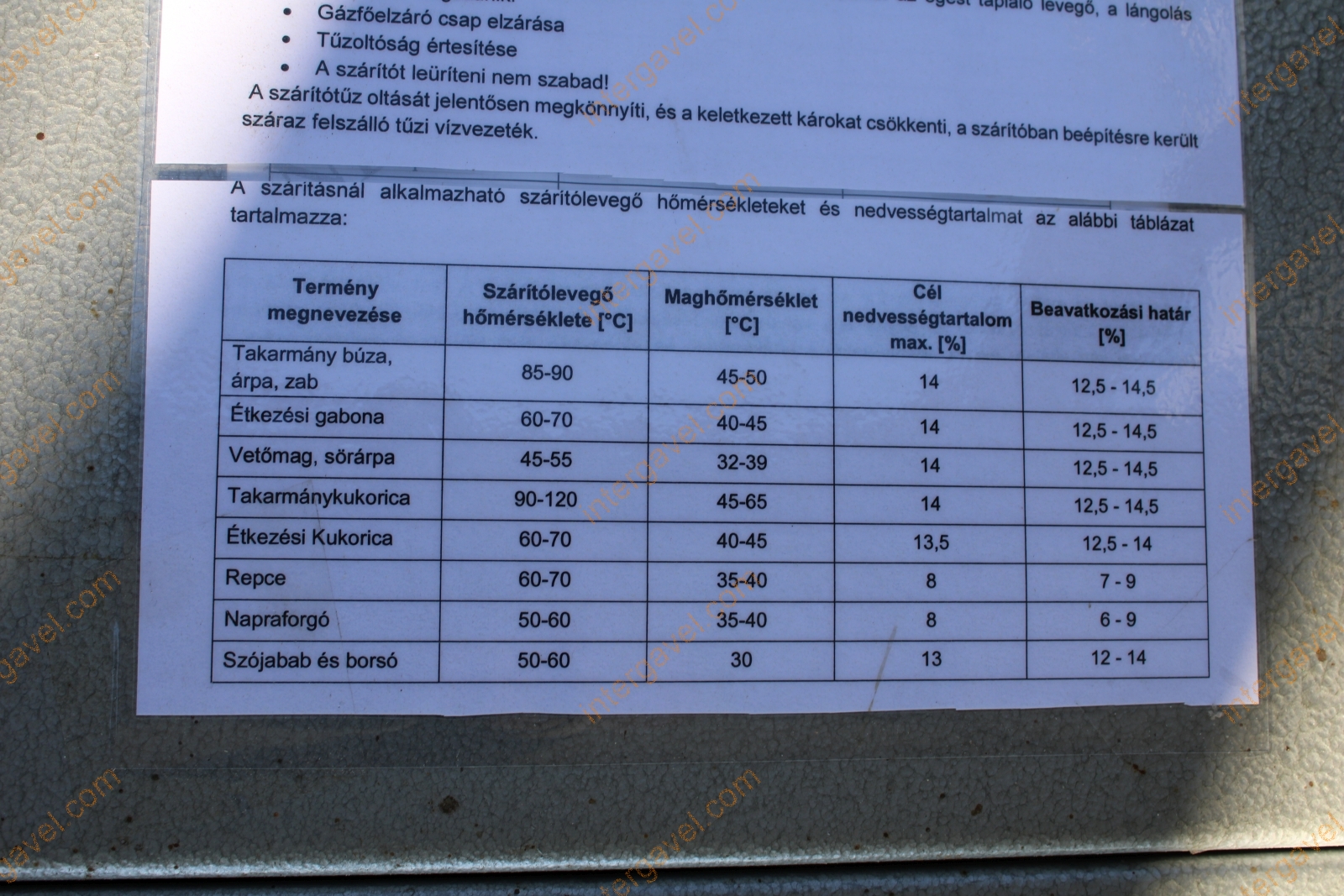 Szárító - Bábolna 60