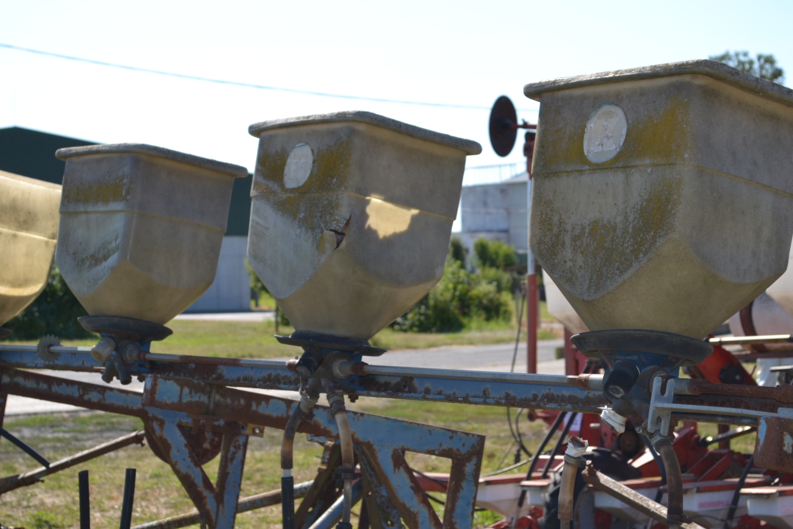 Vetőgép (répa+cirok) 5