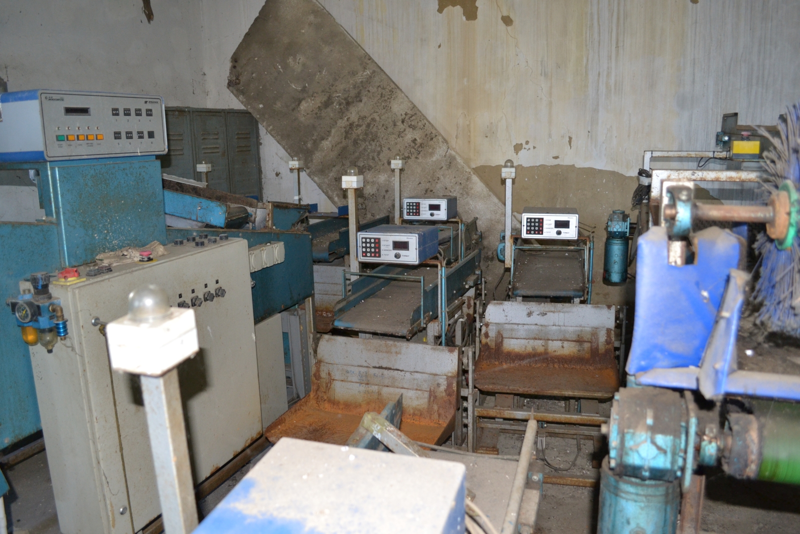 Gyümölcs és zöldség osztályozó gépsor 6