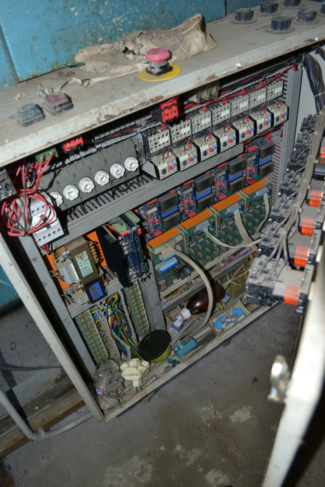 Gyümölcs és zöldség osztályozó gépsor 8