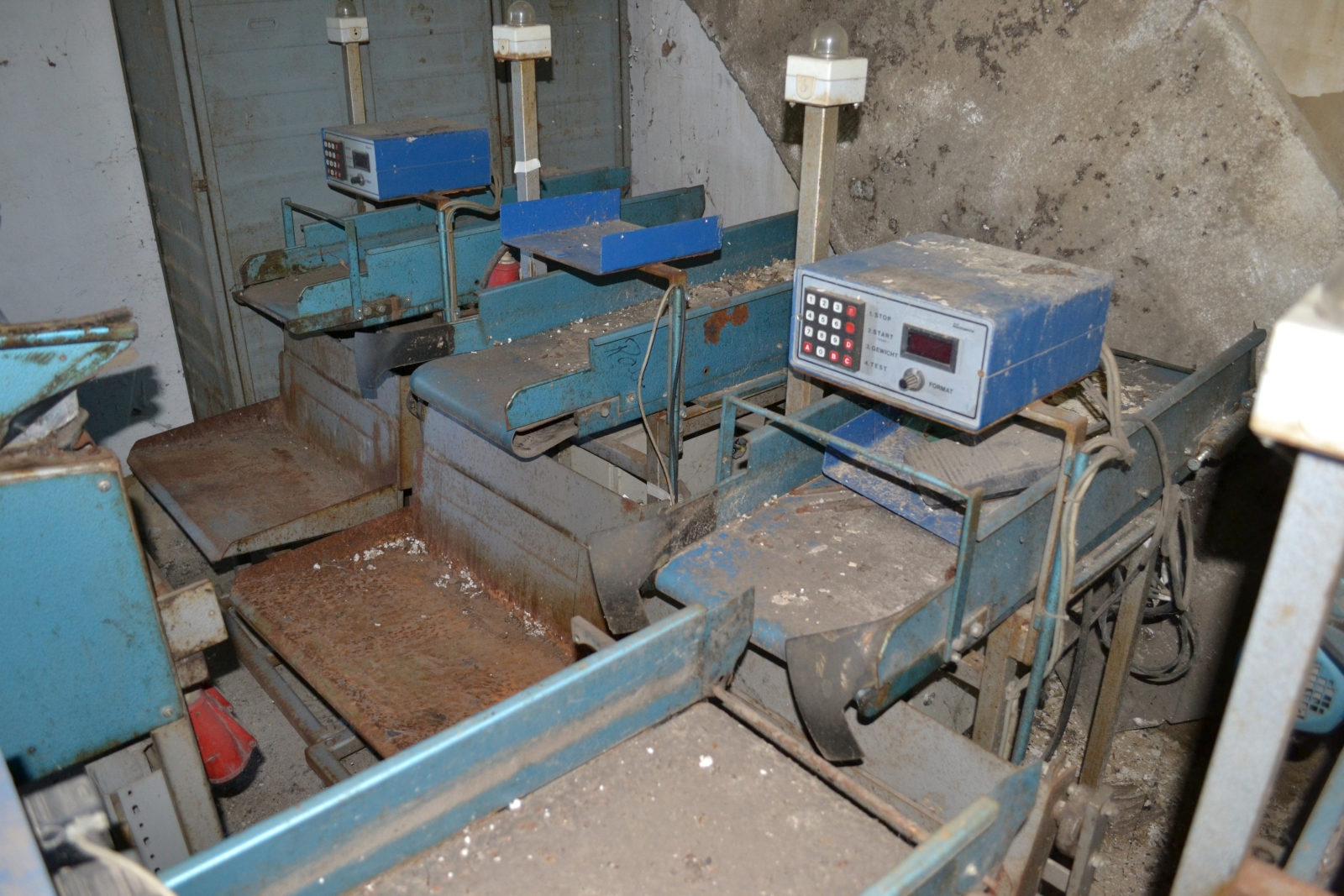 Gyümölcs és zöldség osztályozó gépsor 9