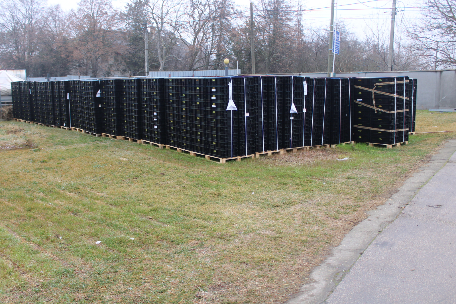 KLT láda (594x396-174) 4