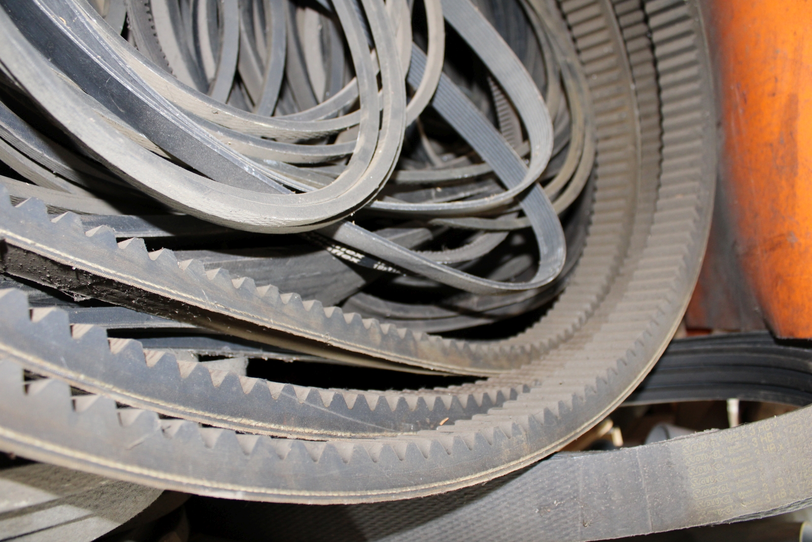 Alkatrész - Szíjak 5