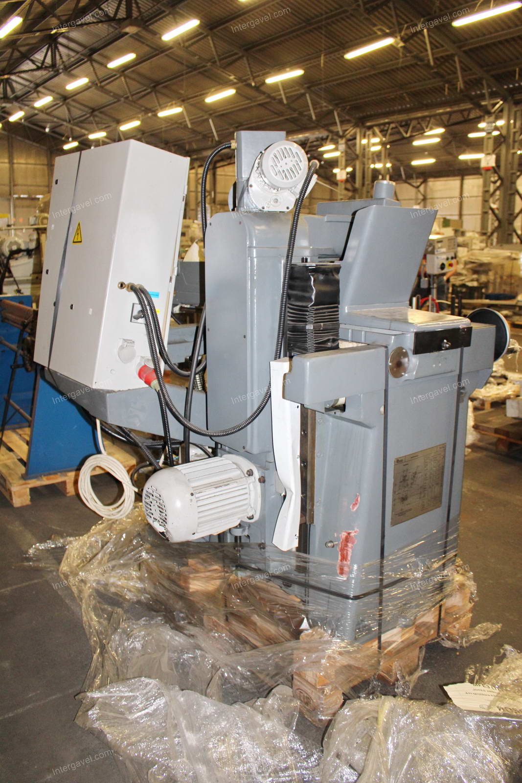 Síkköszöszörű 12