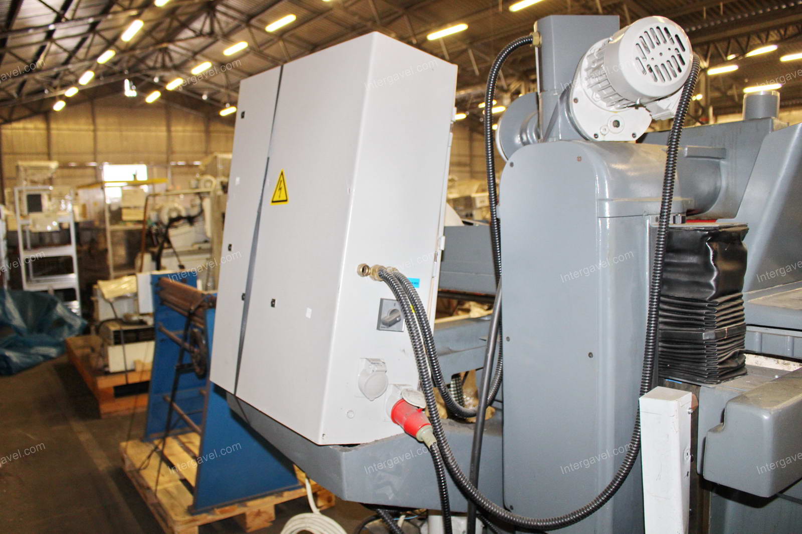 Síkköszöszörű 14