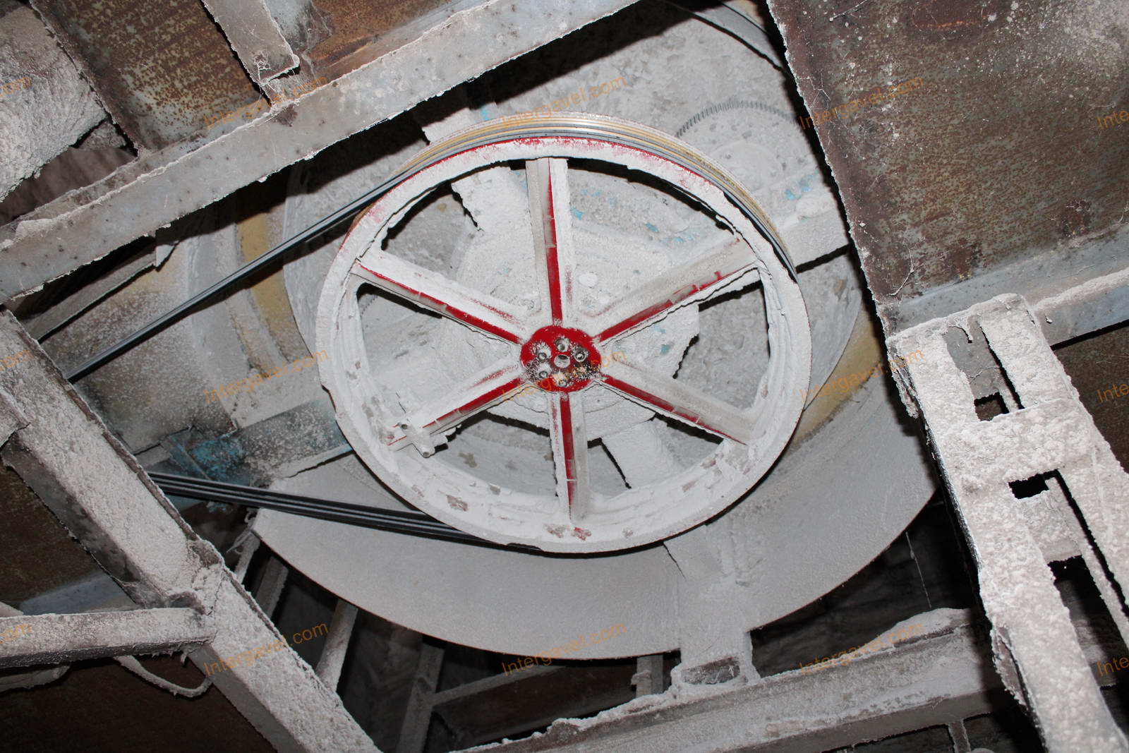 Magtisztító - kördobos 7