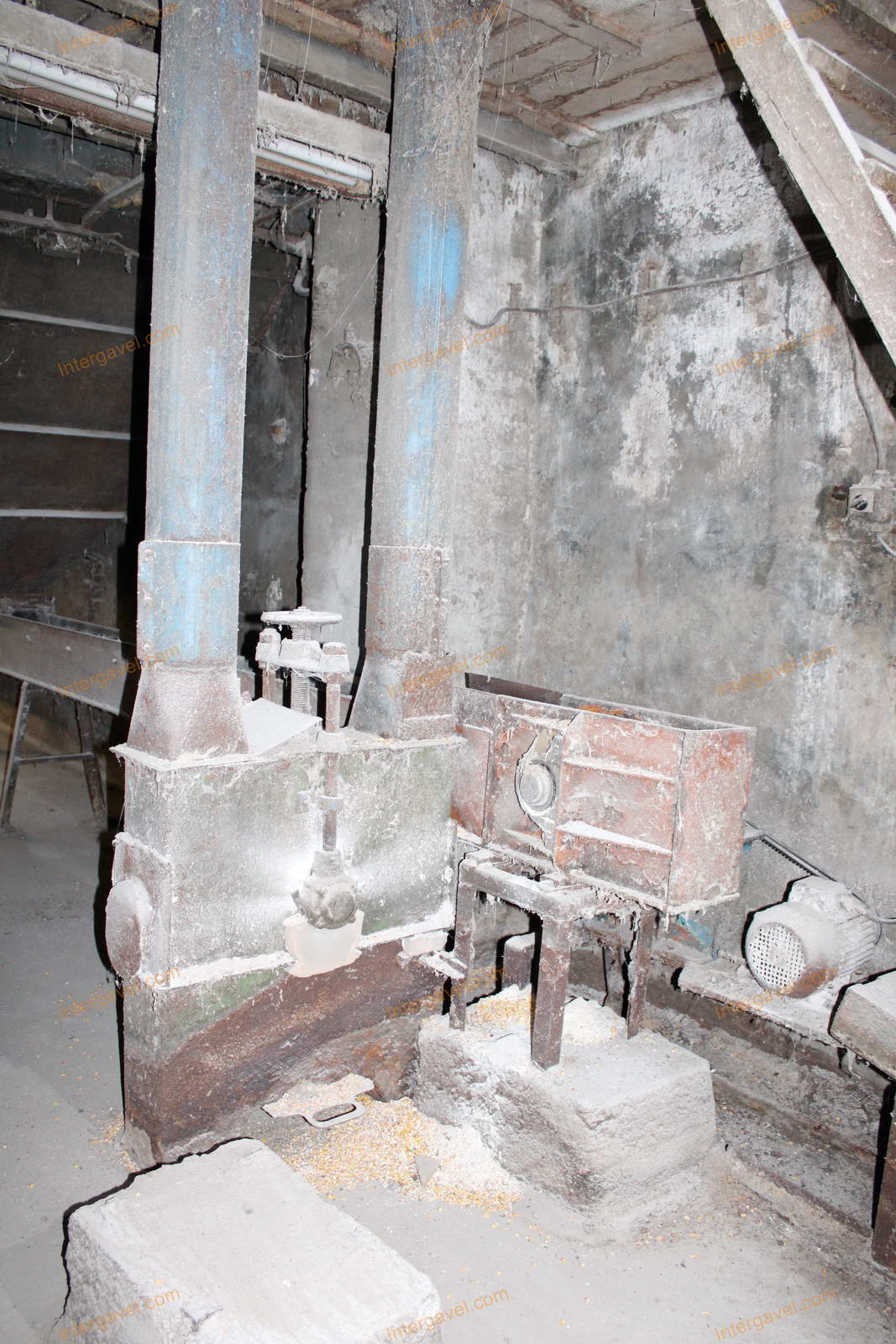 Magtisztító - kördobos 18