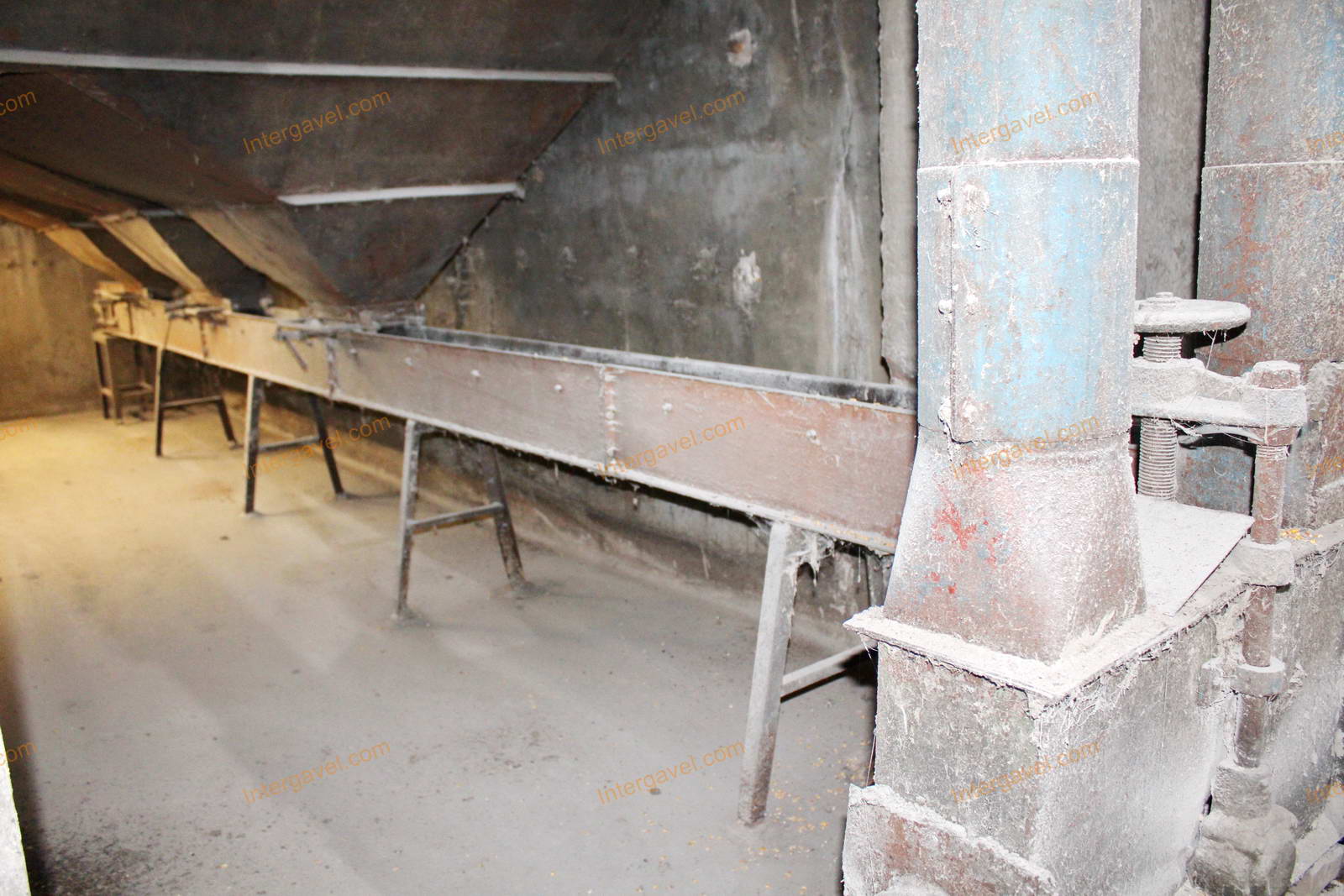 Magtisztító - kördobos 19