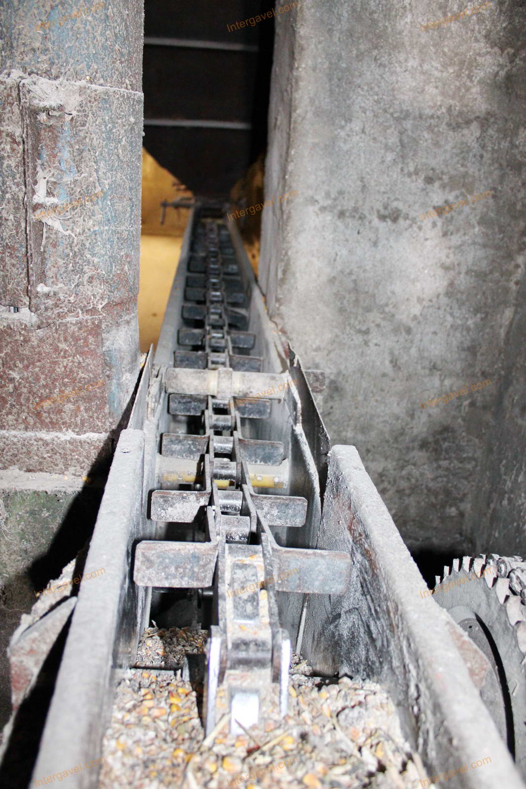 Magtisztító - kördobos 20