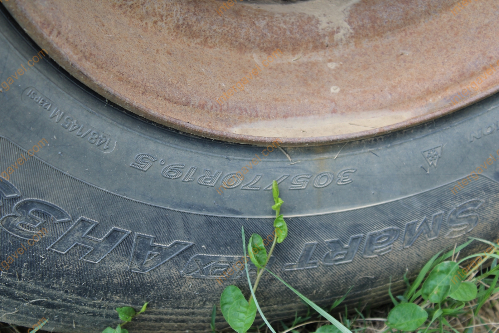 Szőlőszállító pótkocsi 16