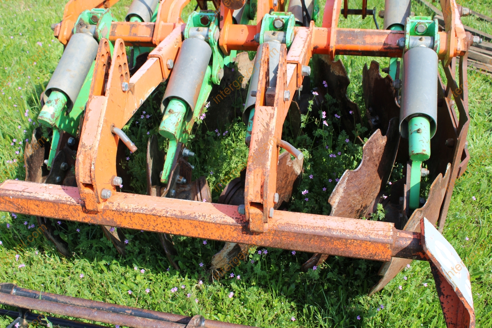 Tárcsa - Renieri 10