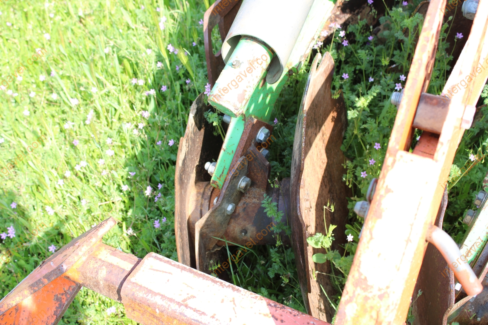 Tárcsa - Renieri 11