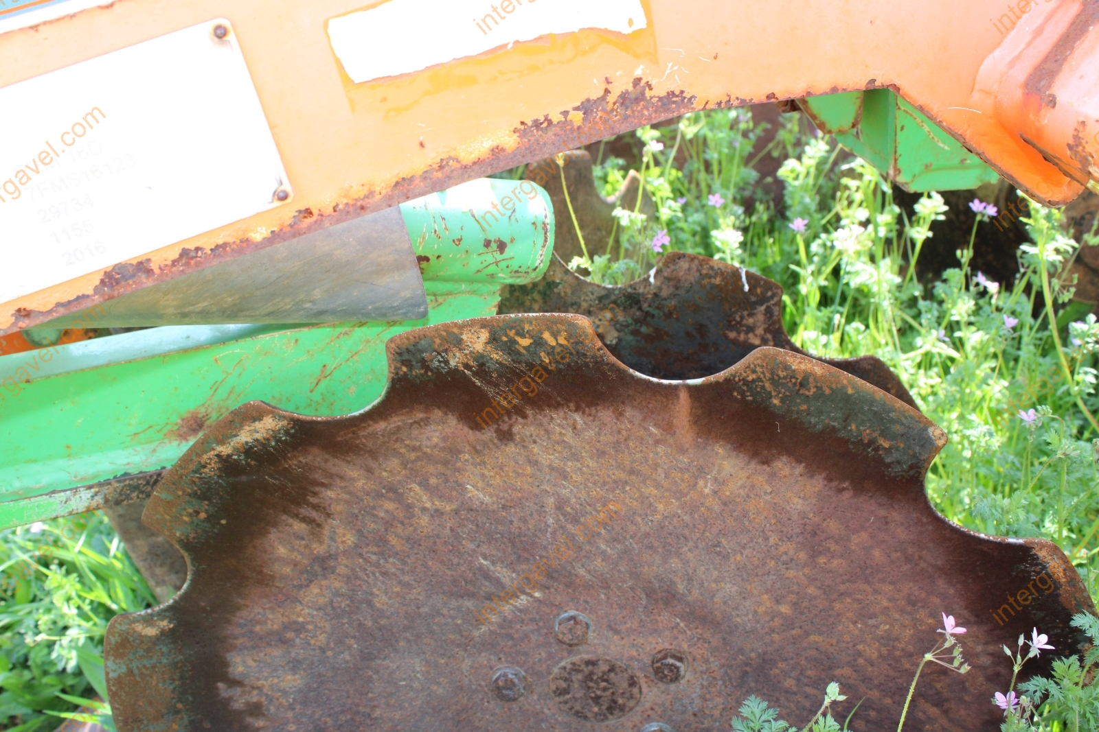 Tárcsa - Renieri 15