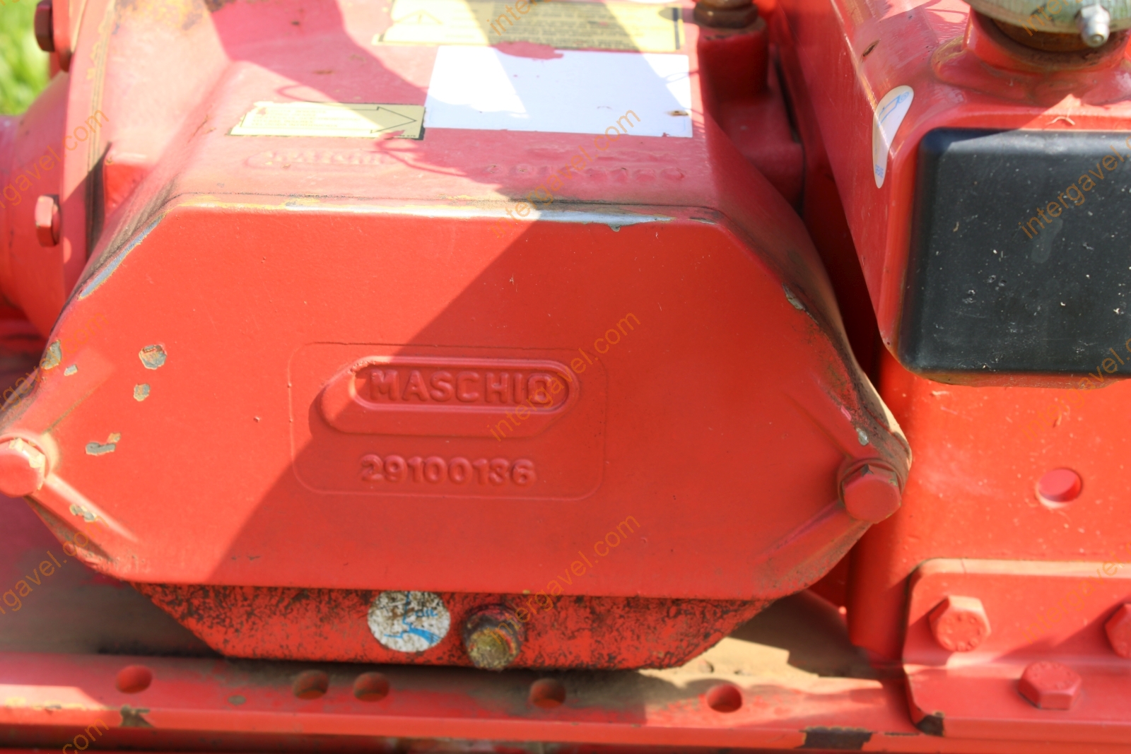 Talajmaró - Maschio 10