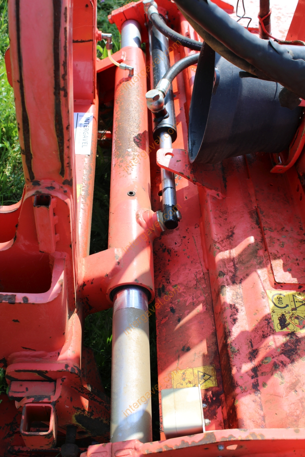 Talajmaró - Maschio 12