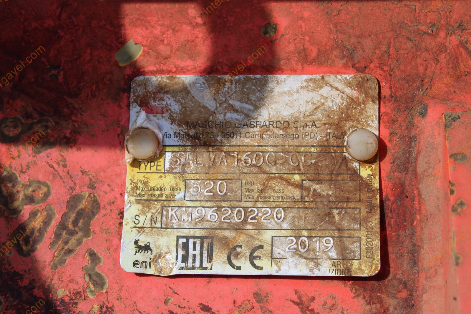 Talajmaró - Maschio 13