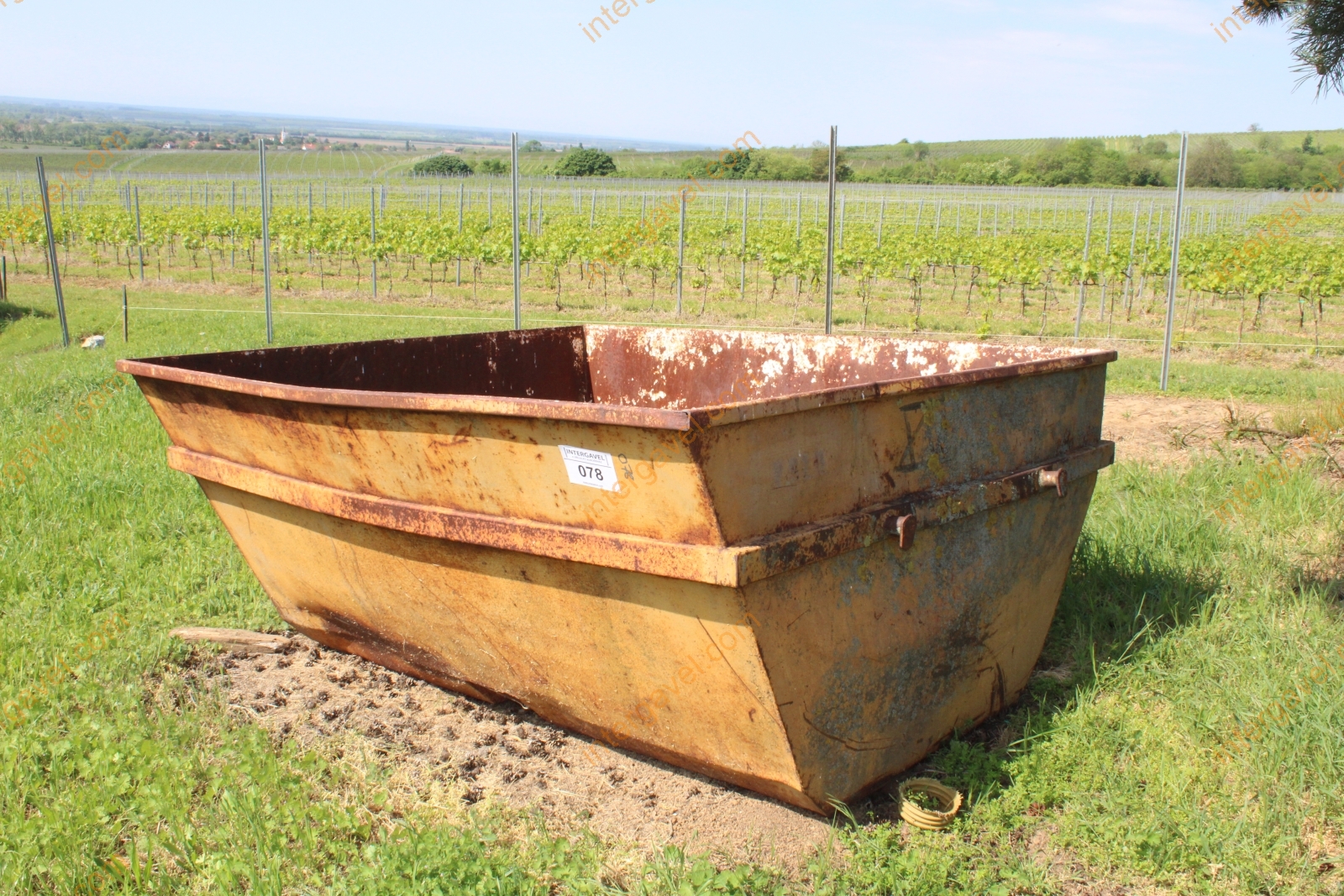 Szőlőszállító konténer 4