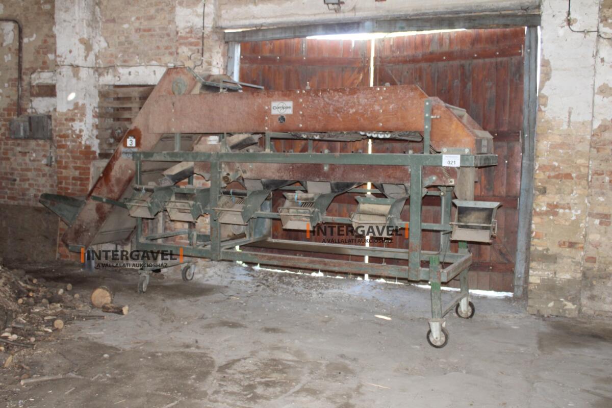 Burgonya szortírozó - Compas