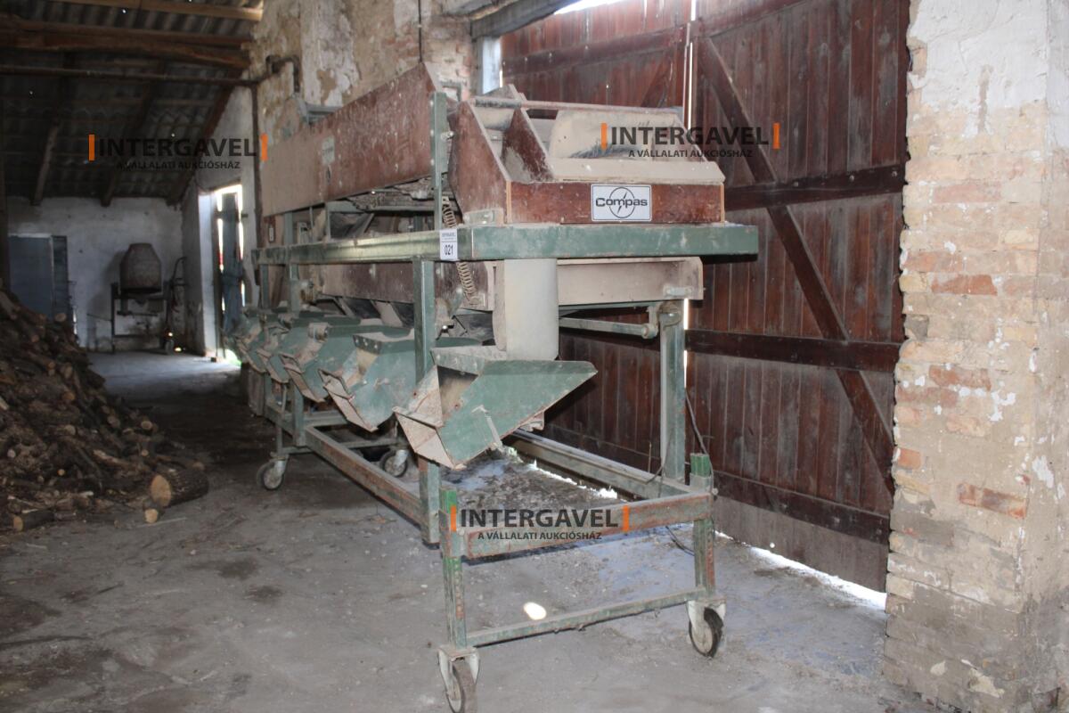 Burgonya szortírozó - Compas 2