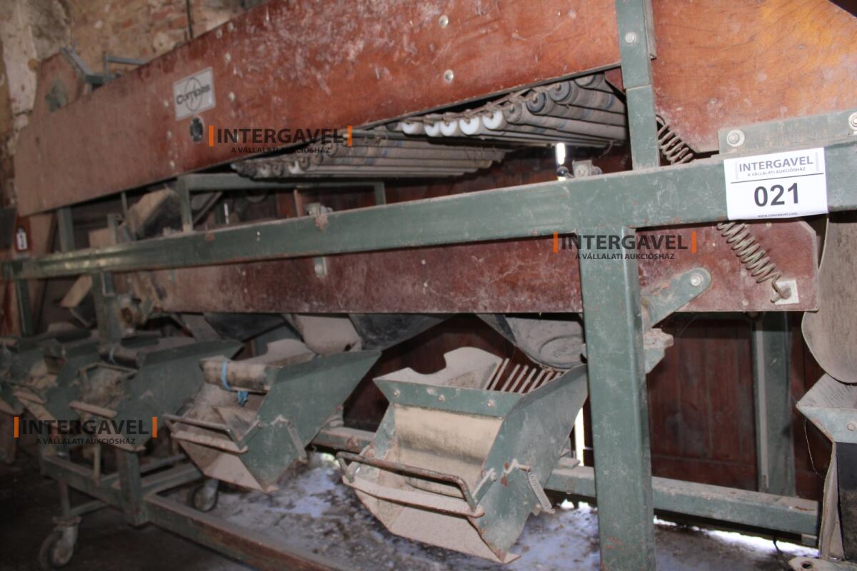 Burgonya szortírozó - Compas 9