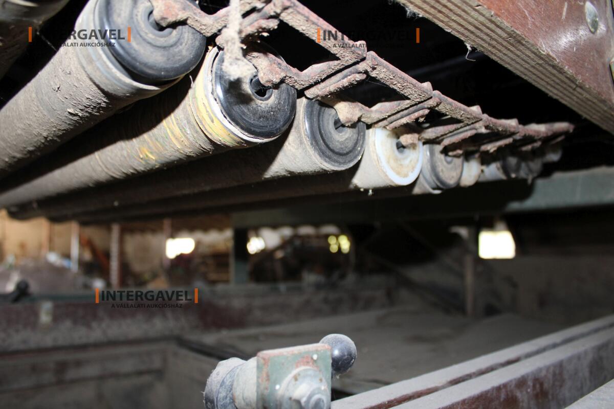 Burgonya szortírozó - Compas 14