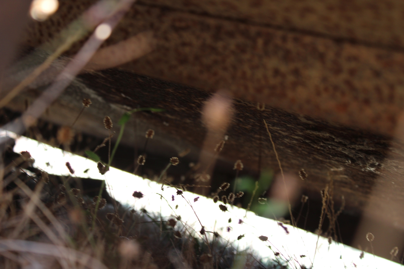 Fischer GL2 FIX250 fűkasza 4