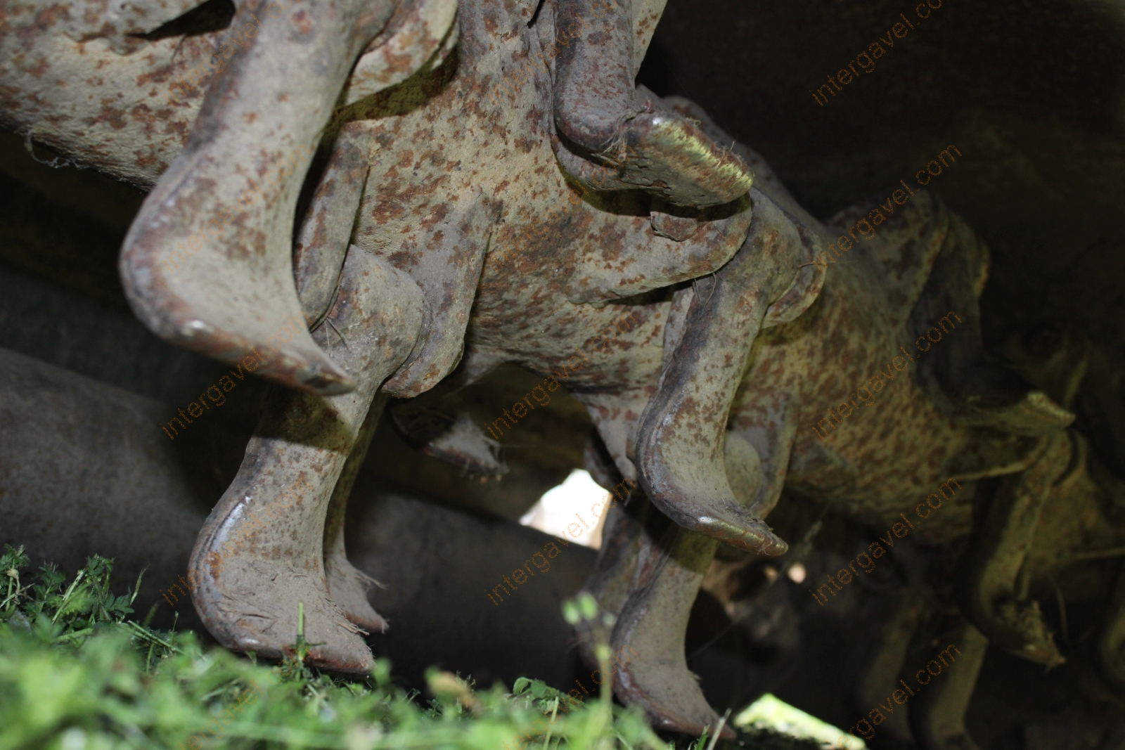 Rézsűkasza - Maschio Gaspardo 37