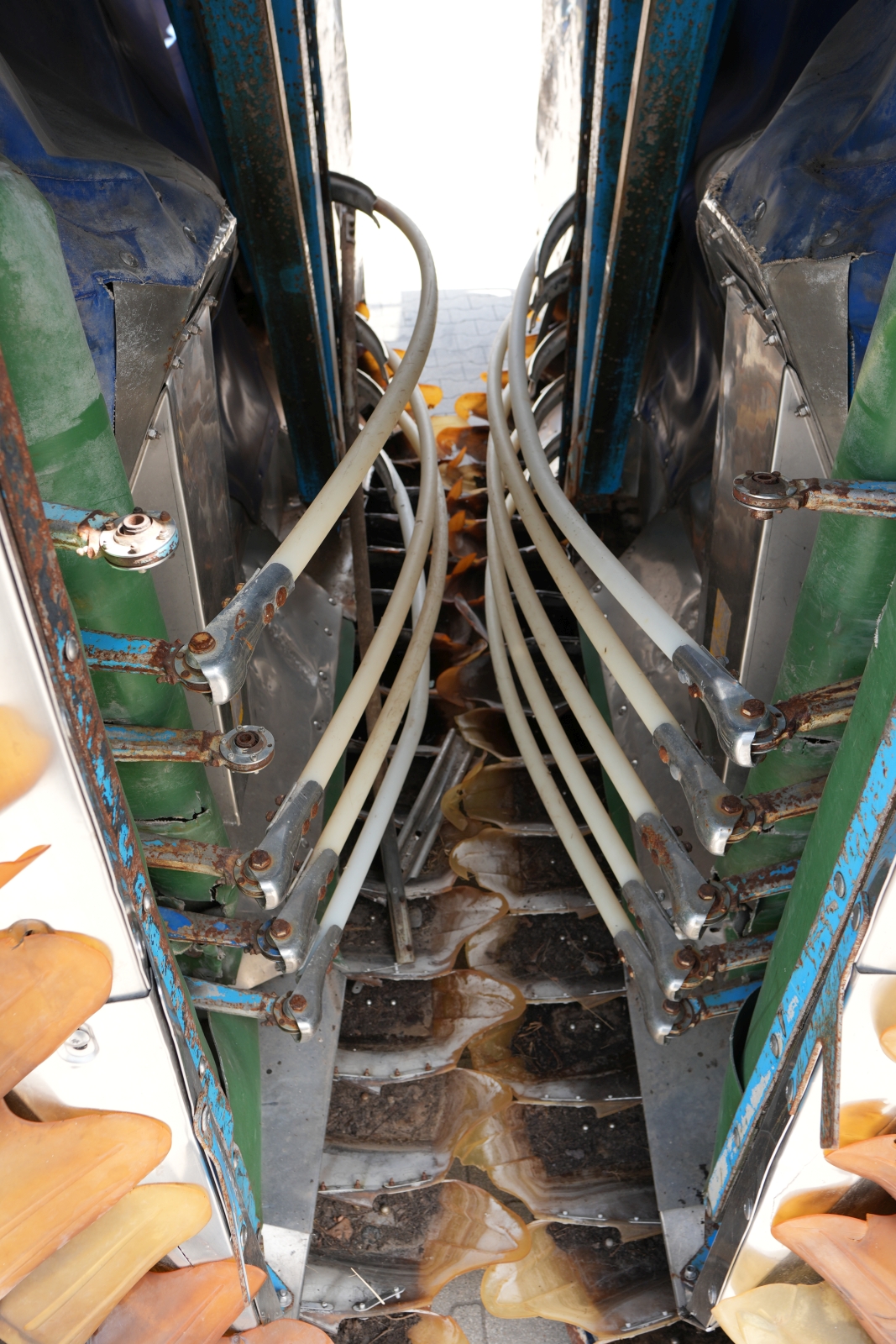 Braud szüretelő 13