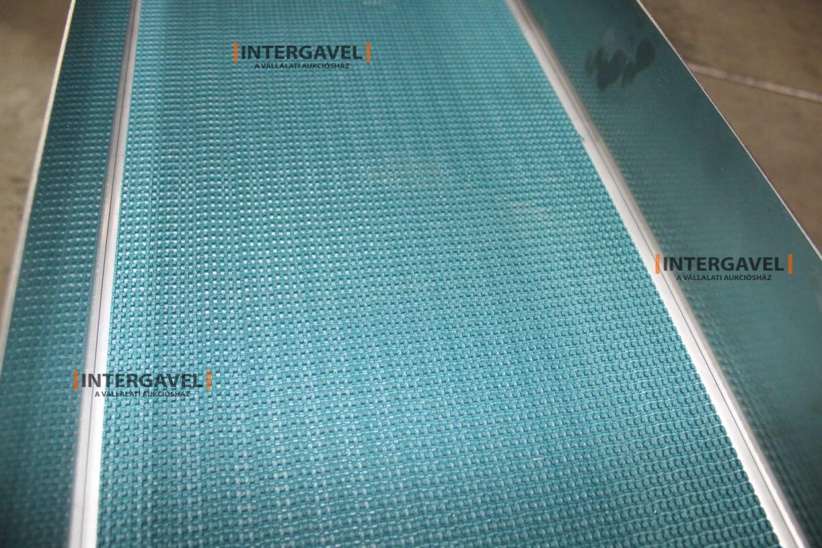 Szállító szalag 5