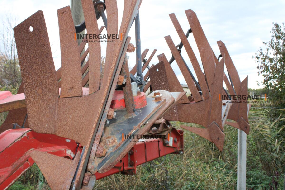 Eke - Gregoire Besson 18