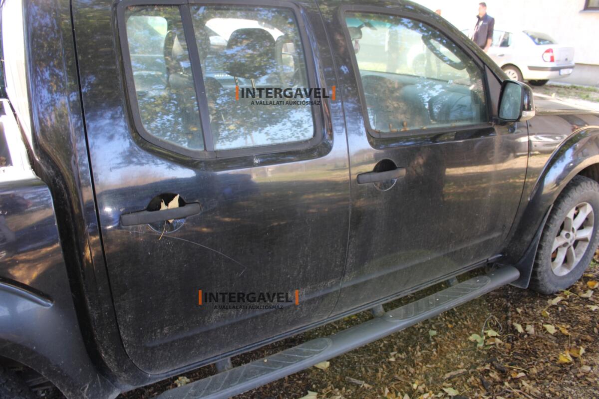 Terepjáró - Nissan 19