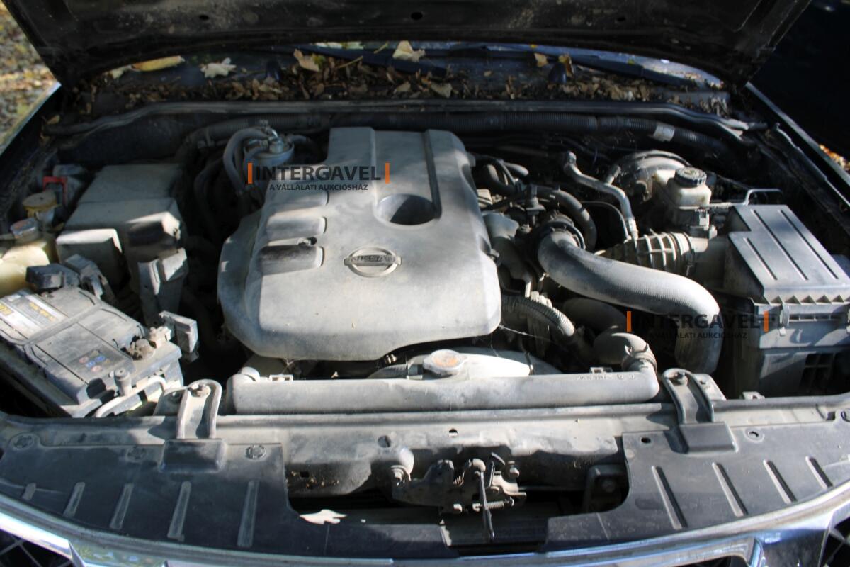 Terepjáró - Nissan 42